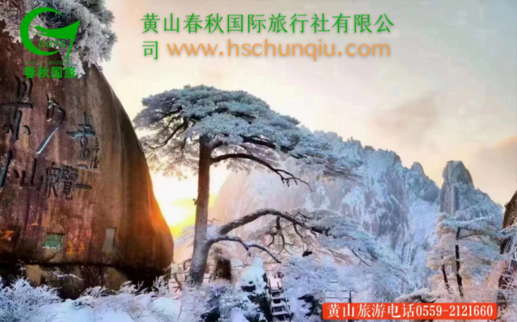 黄山迎客松