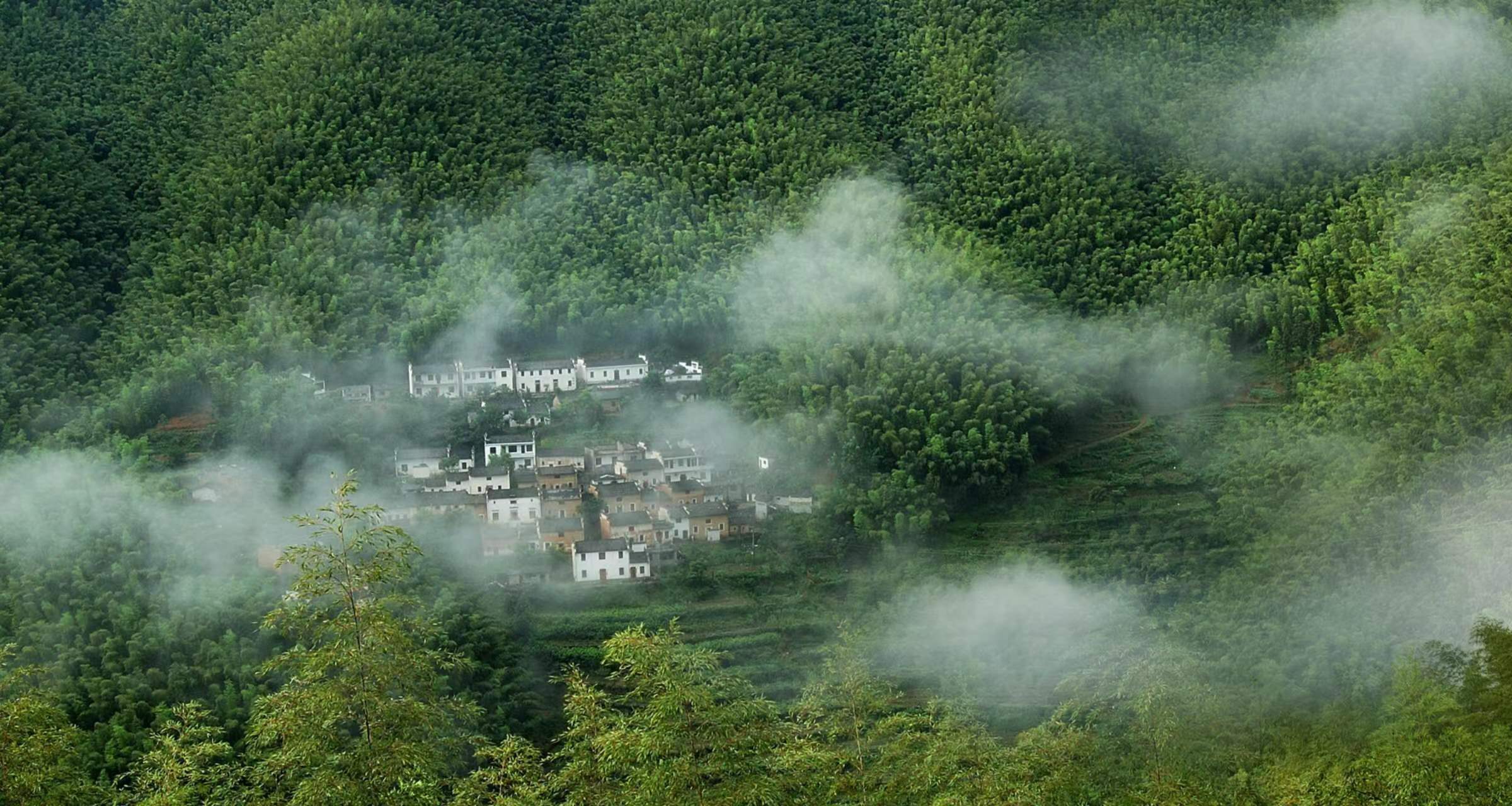 木坑竹海