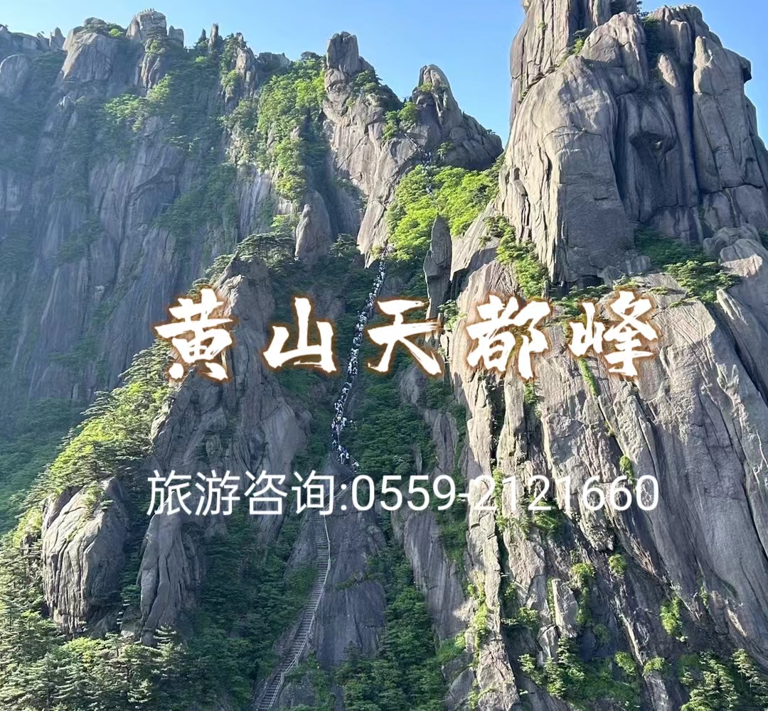 屯溪老街、新安江山水画廊、徽州古城、黄山、千岛湖、婺源篁岭、西递、宏村纯玩往返六日游